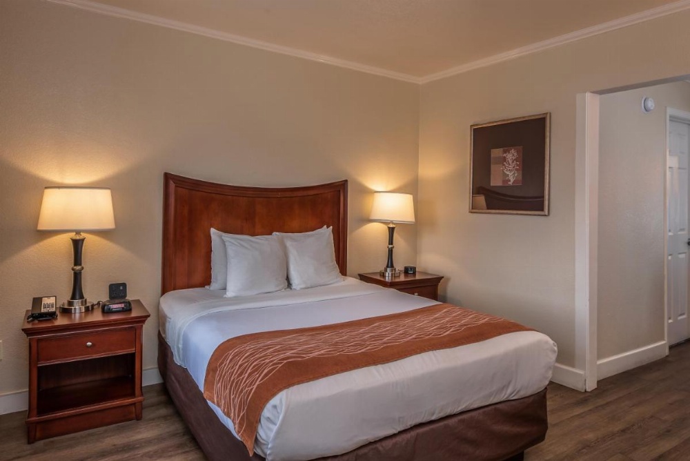 Blu Pacific Hotel Image 32