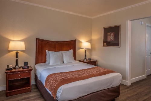 Blu Pacific Hotel image 32