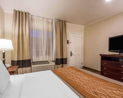 Blu Pacific Hotel image 37