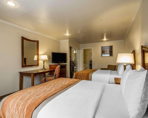 Blu Pacific Hotel image 38