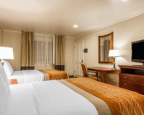 Blu Pacific Hotel image 44
