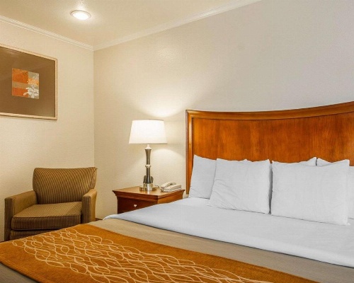 Blu Pacific Hotel image 46